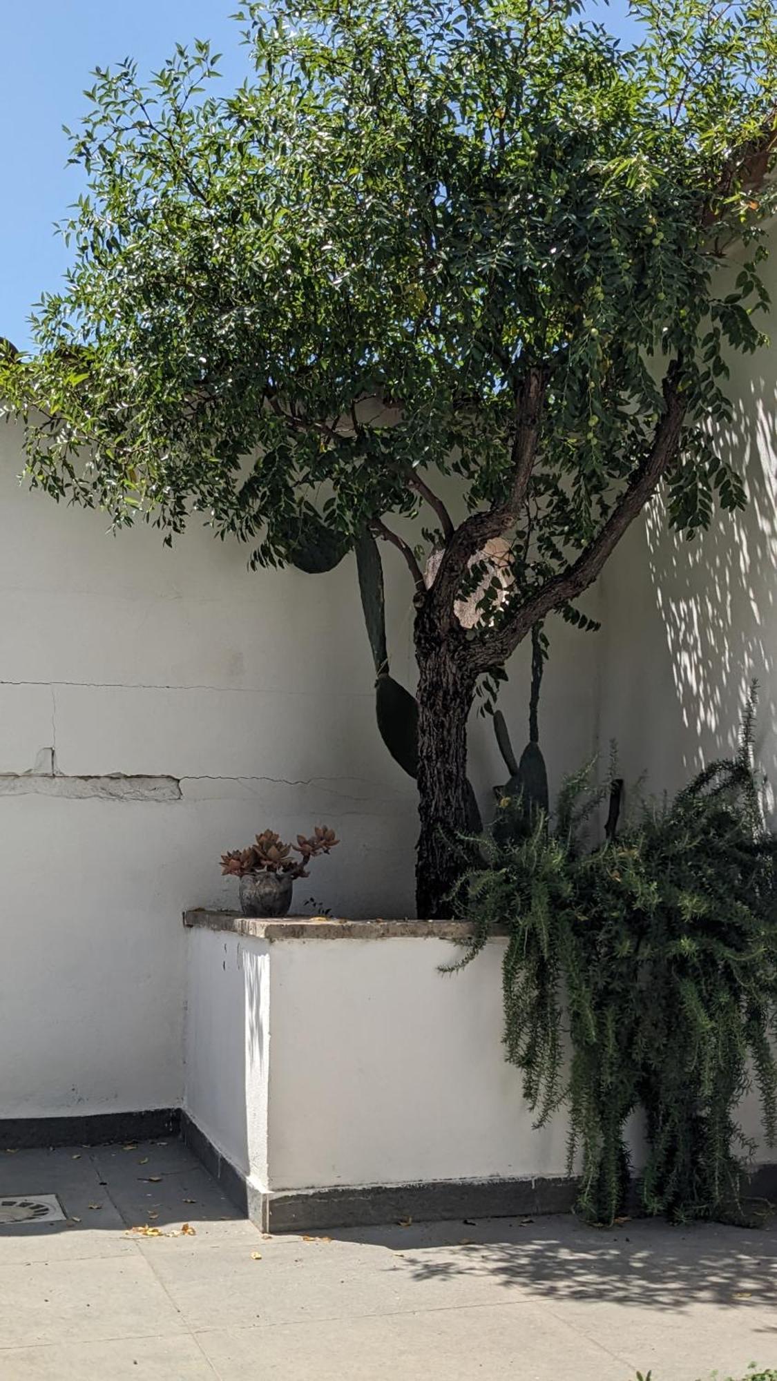 The Cosy Nest Pignataro Maggiore Exterior foto